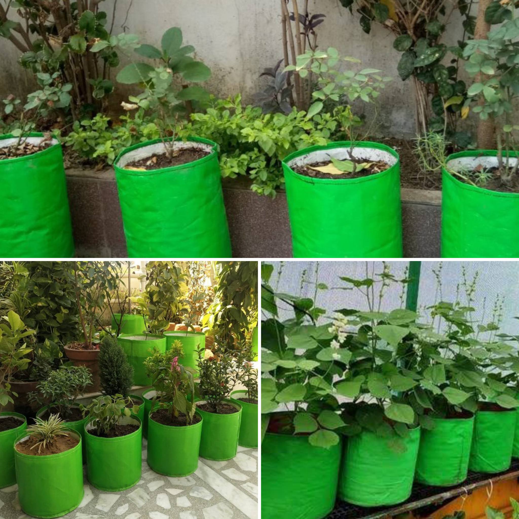 Amazon.com: JJGoo Potato Grow Bags, 4 Pack 10 Gallon with Flap and Handles  Planter Pots for Onion, Fruits, Tomato, Carrot - Green : Patio, Lawn &  Garden